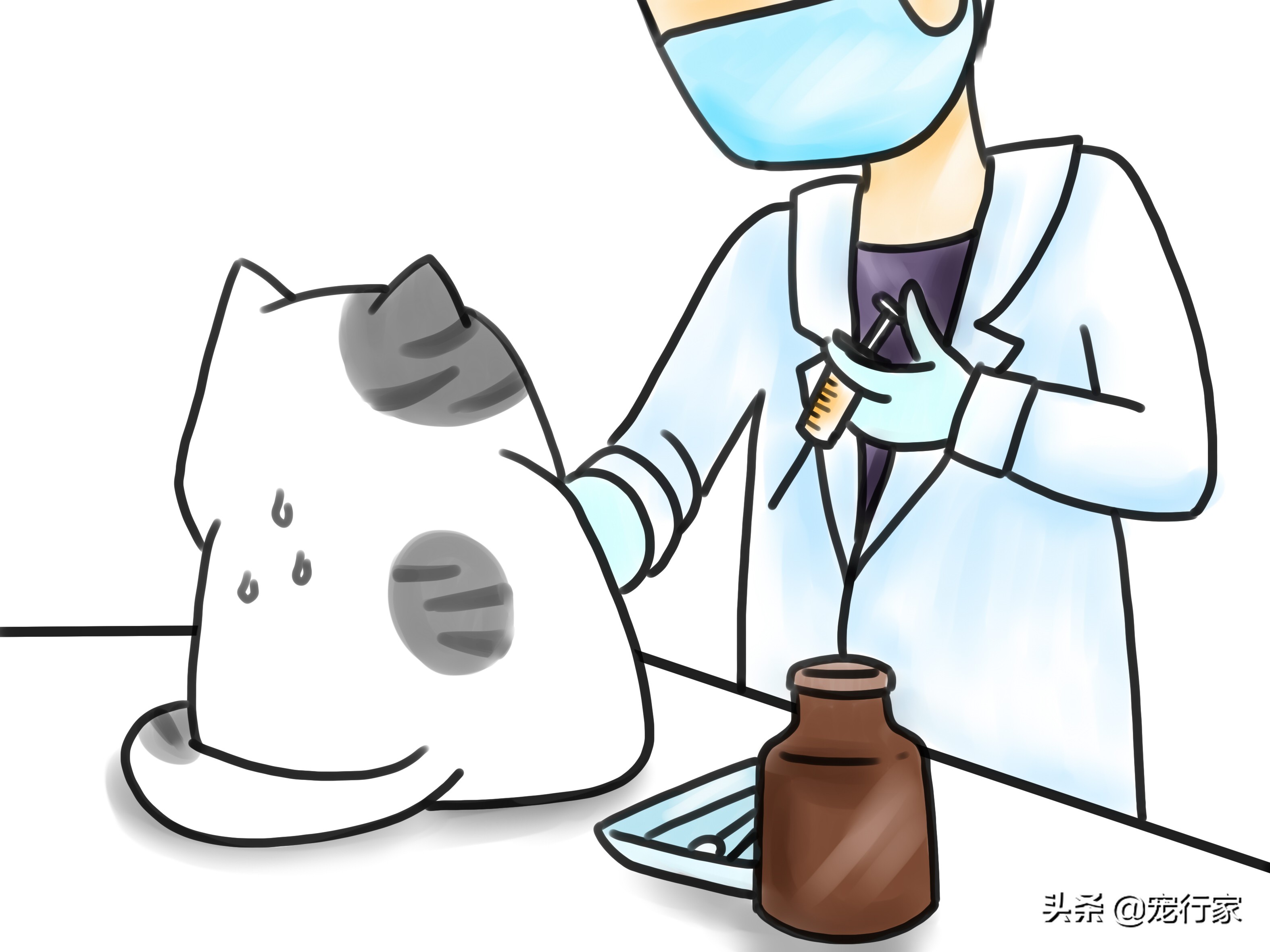 猫咪闹不听话,猫咪吃零食不吃粮了怎么办