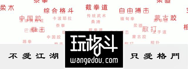 会巴西柔术的动物有多酷?让GroundShark(陆地鲨)告诉你