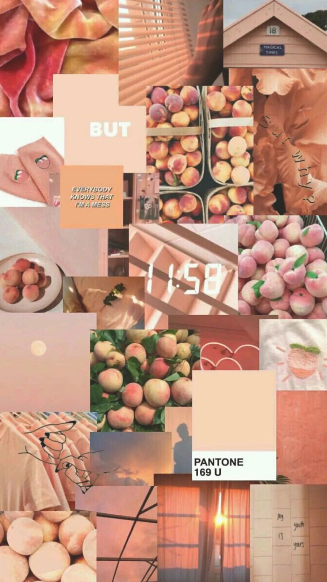 ins风真的很好吗,ins风到底是什么风格