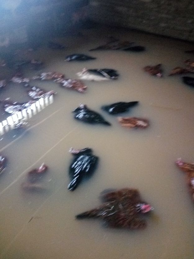 返乡创业农村生活现实记,农村生活与创业之路欢迎进来交流