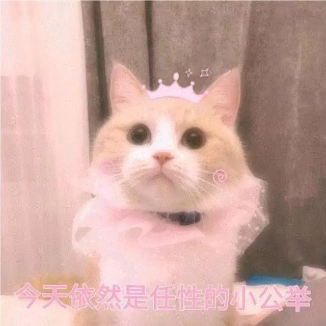 撩小男生的表情包,害羞小哥哥表情包