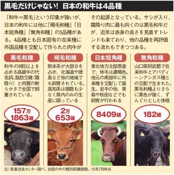 日本“国宝级精液”差点进入中国,吓坏了日本人