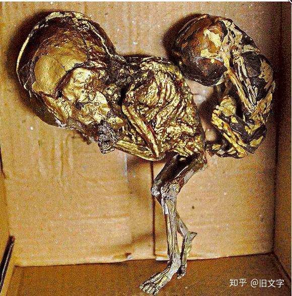 你绝对没看过的五大鬼片,全世界前十的好看的鬼片