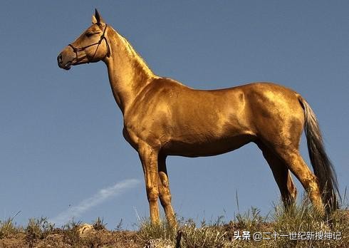 凿空西域,凿空西域玉门关