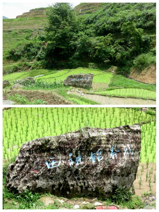 榫欒剨姊敯鏀荤暐鍙嶆淳,榫欒剨姊敯鎬紓