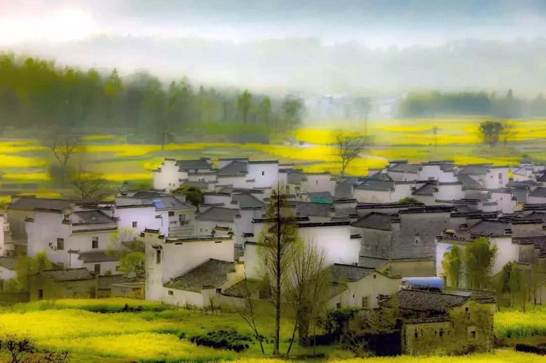 一个徽州惊艳全世界,徽州凭什么惊艳世界