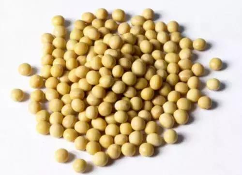 毛囊饿了也脱发，你知道怎样为毛囊补充营养吗？