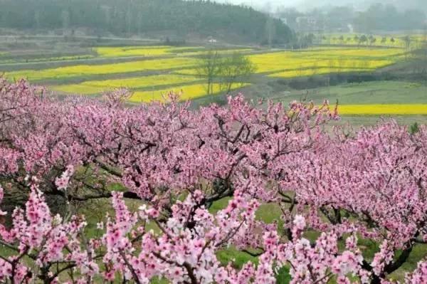 五一武汉市周边游,五一武汉周边短途旅游推荐