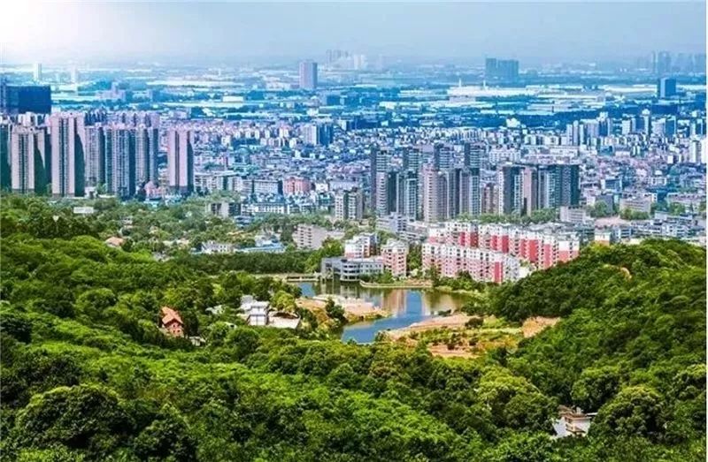 龙泉驿区的发展规划,龙泉驿区庆祝建党100周年活动