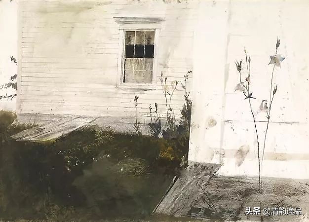 类似安德鲁怀斯的画家,安德鲁怀斯画家视频