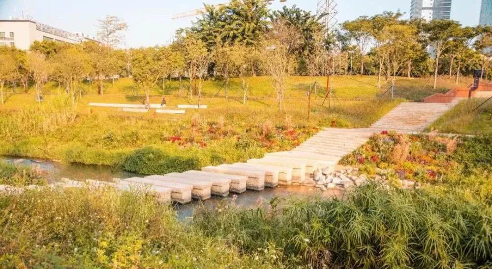 深圳适合小朋友好玩的地方推荐,深圳十个值得带孩子玩的地方