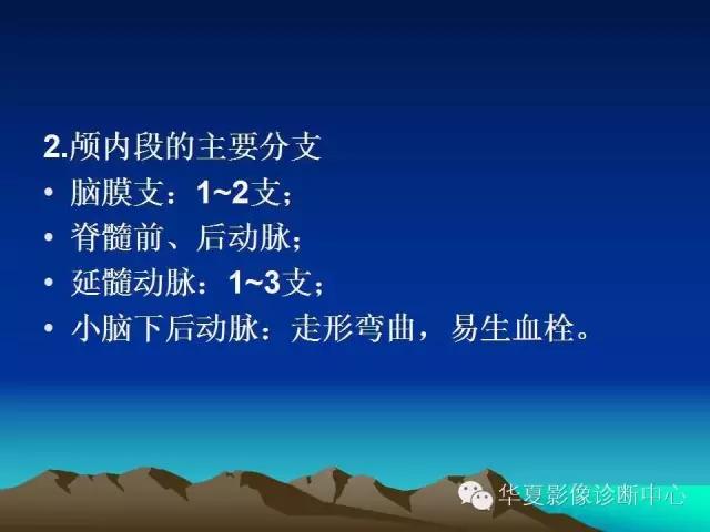 小脑血管解剖分段,脑血管影像解剖讲解