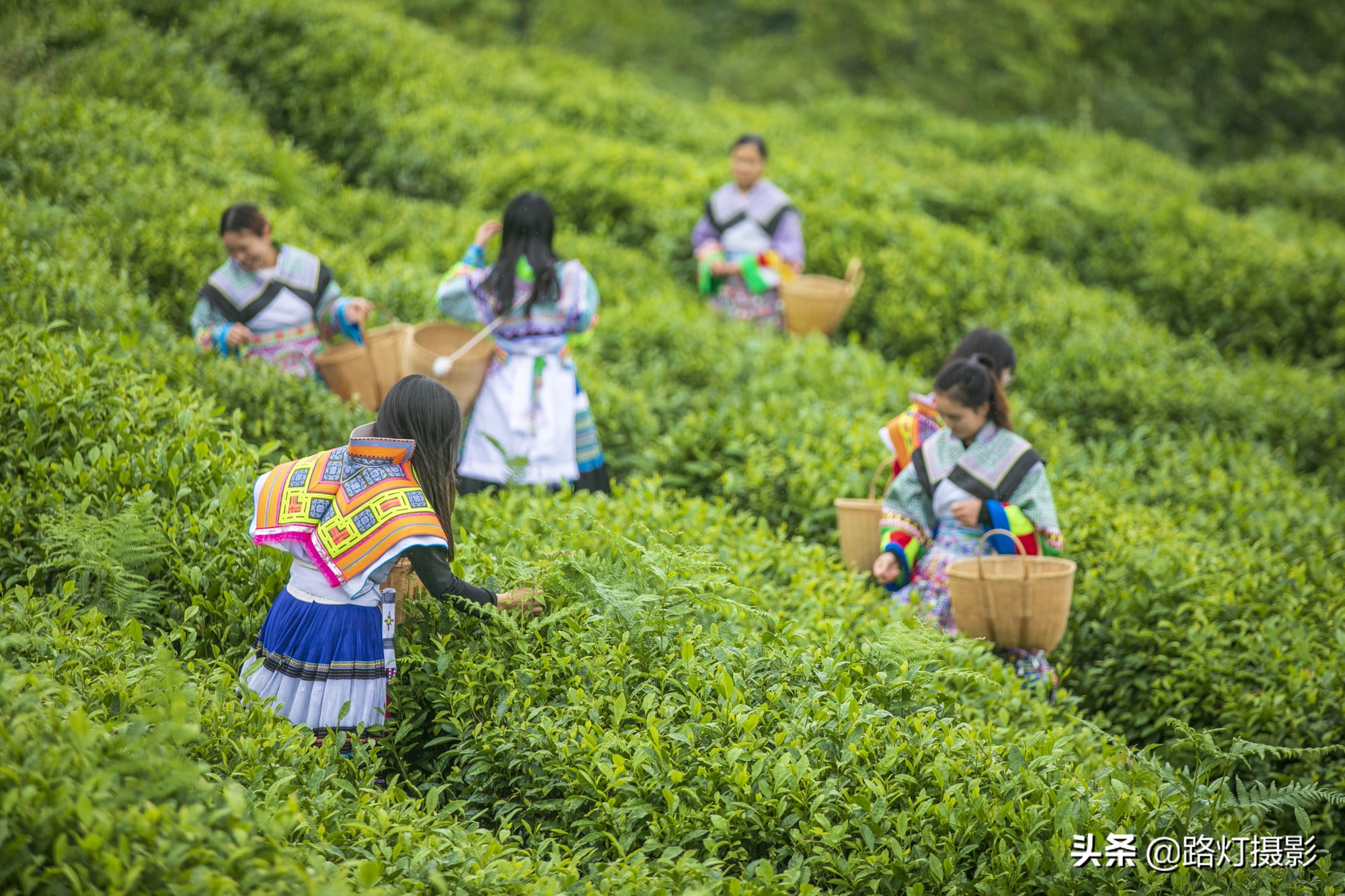 我国最凉爽的4座避暑城市,中国最凉快的十大避暑胜地
