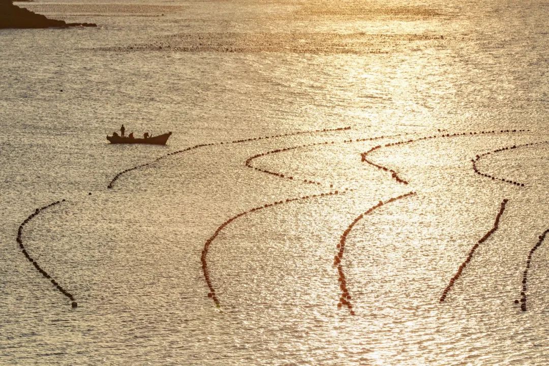 美过三亚！比厦门浪漫！中国这座海滨老城，去一次相当于环游世界