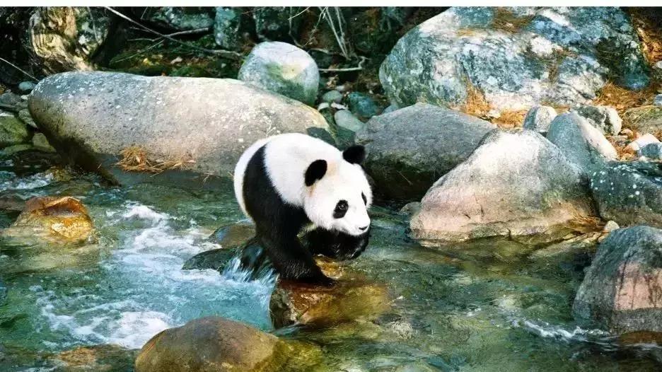 2023中国县域最美榜单,中国十大最美县域