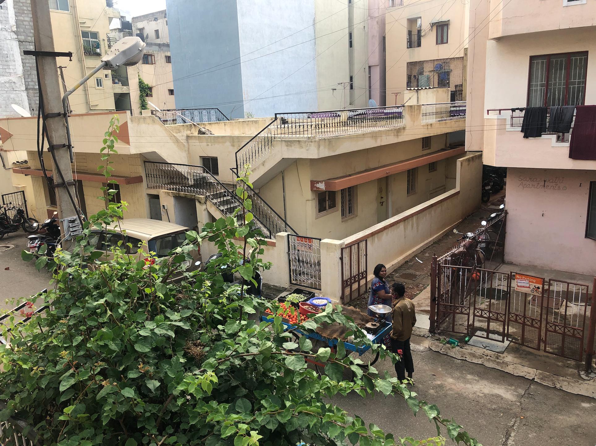 住在印度是什么样的体验,住在印度西北的阿富汗人