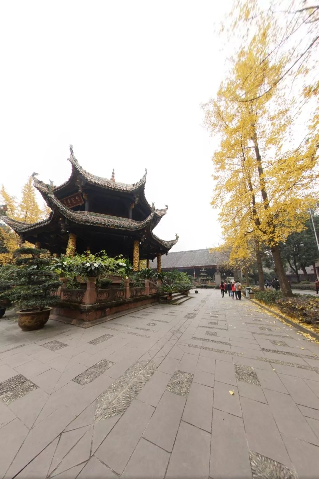 成都即将建成的超级地标,成都东安新城300米地标