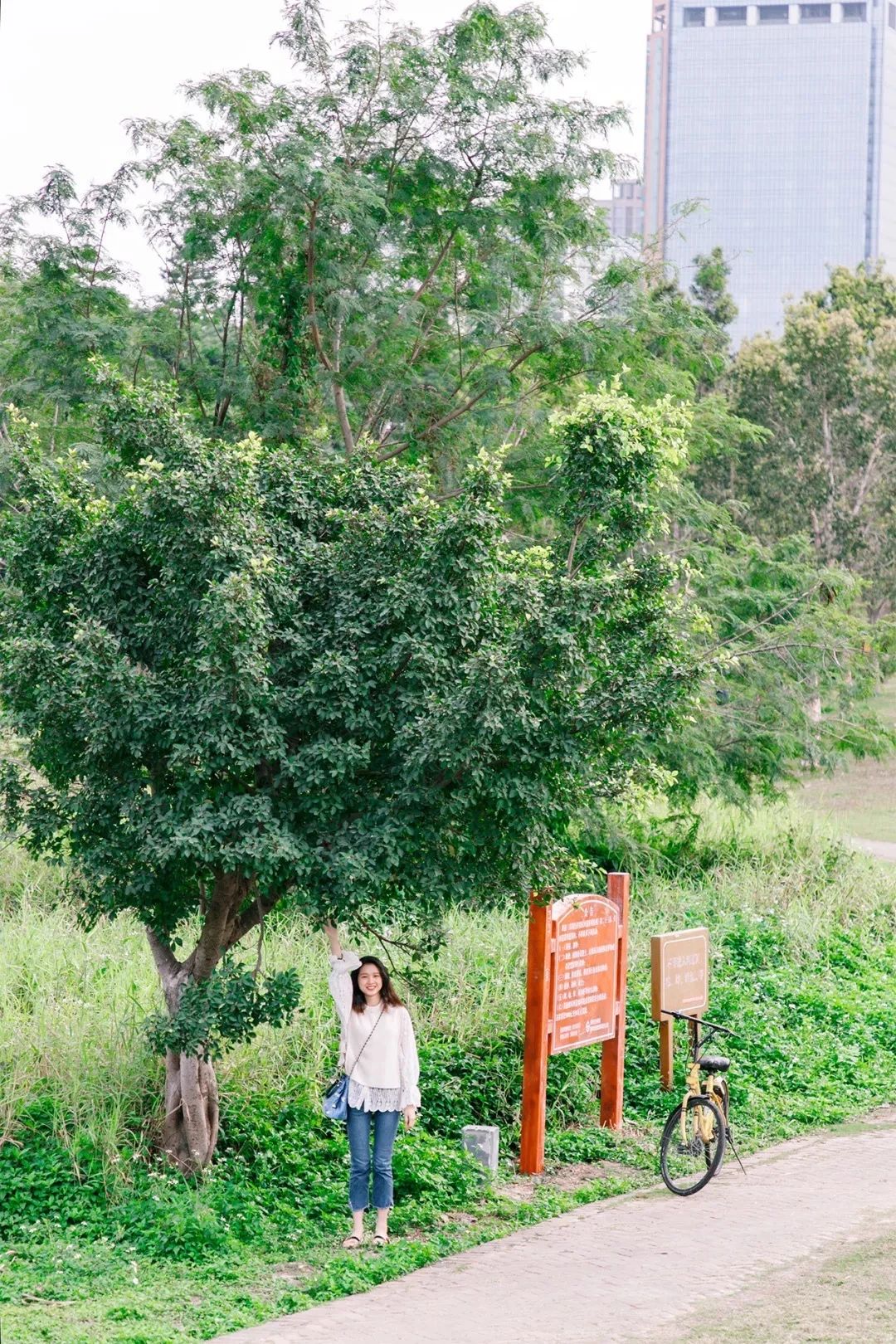 深圳地铁7号线有什么好玩的,深圳地铁十四号线游玩攻略