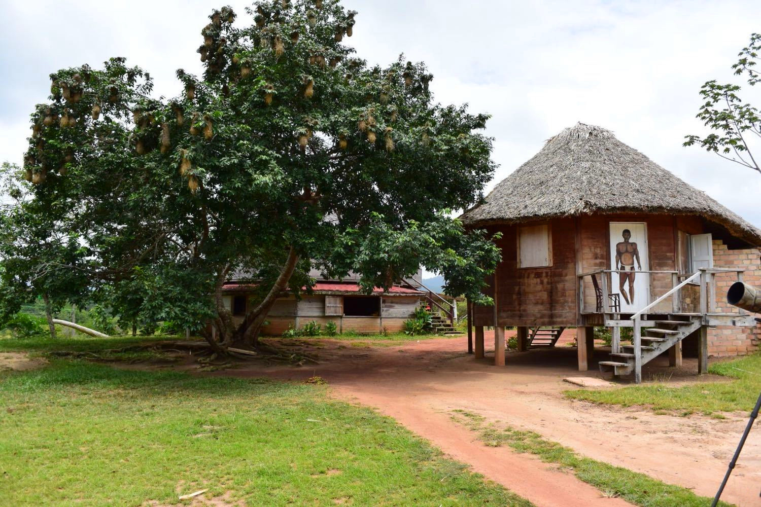 圭亚那:最令人绝望的国家,首任总统是华人,自杀率全球第一?