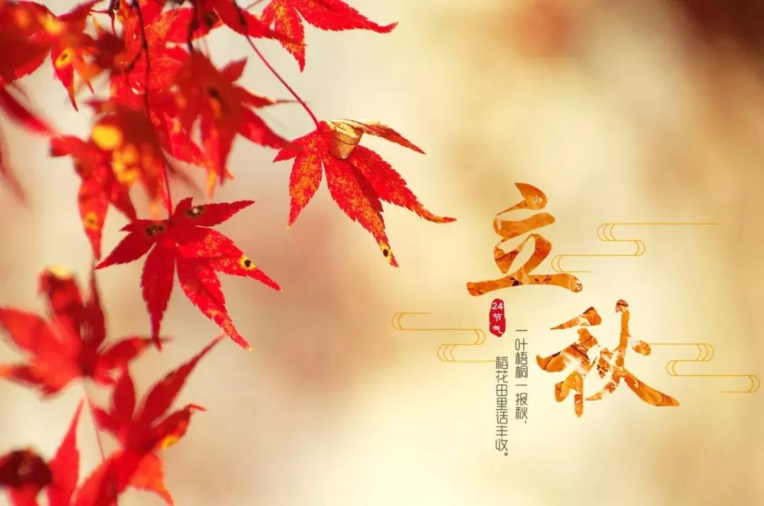 今日立秋应景诵读古诗一首,今日立秋诗词里的秋天