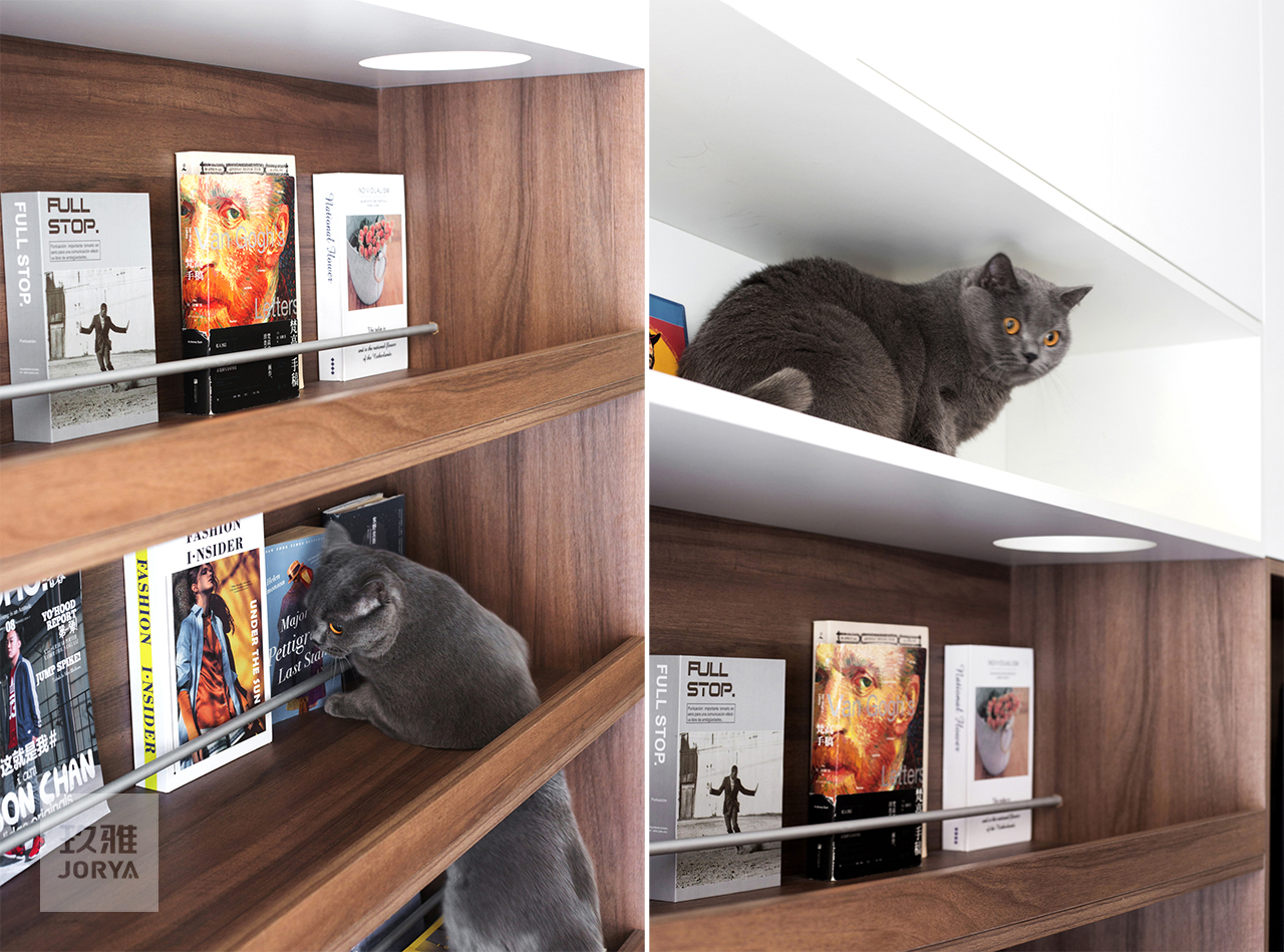 这家的电视柜既能收纳,也是喵星人乐园