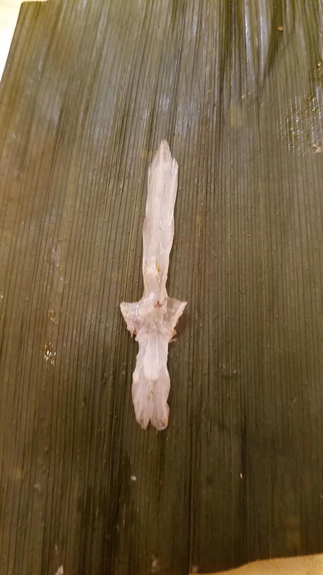 又到八一,又到建军节