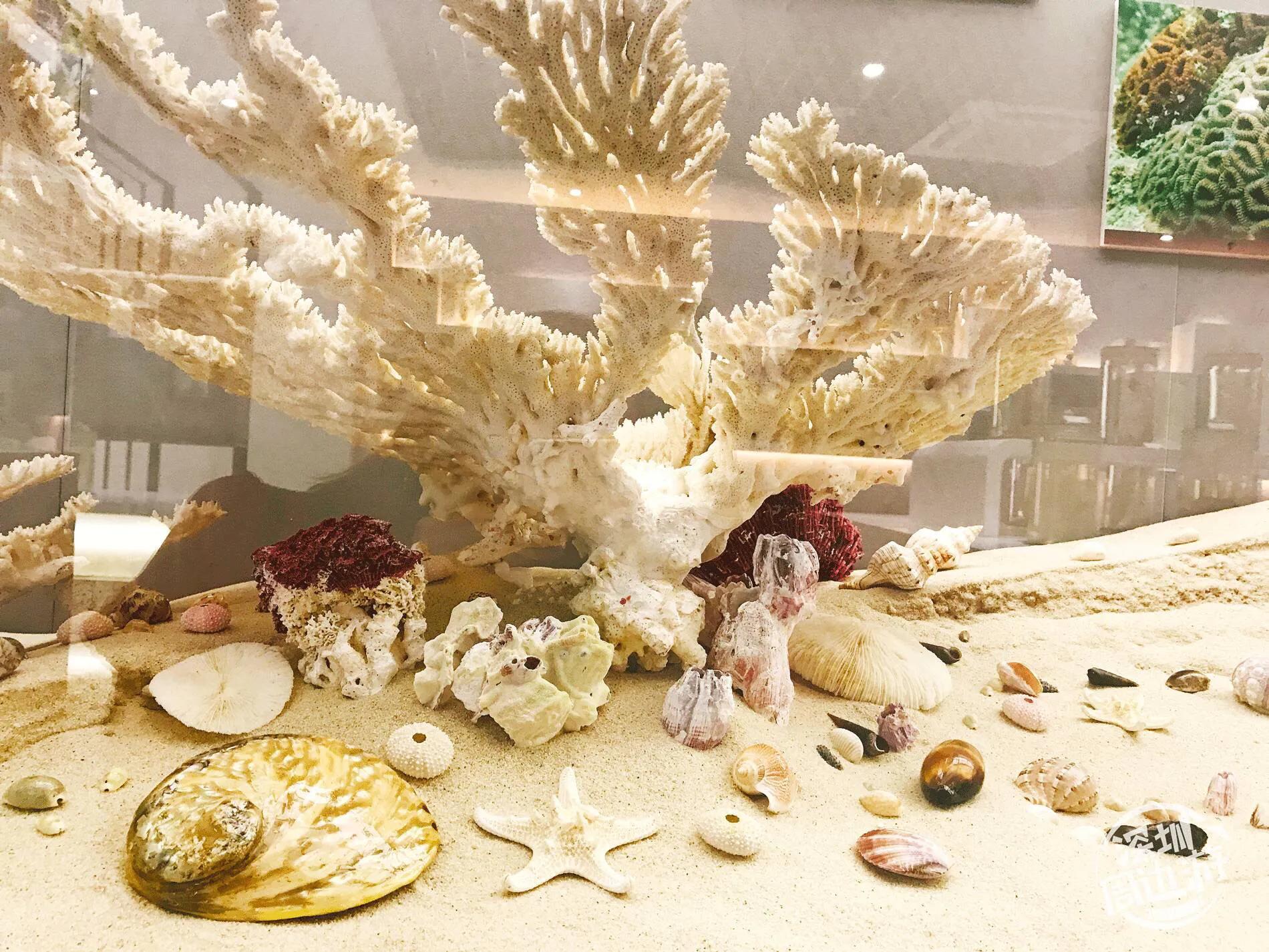 深圳暑假推荐地方,深圳适合高中生参观的地方