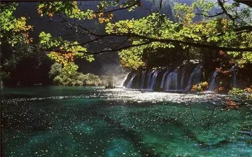 巴中南江要火了！入选国家生态示范县