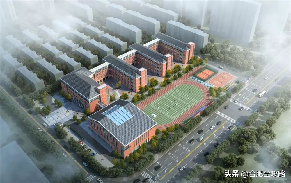 教育大爆发！新站5所学校同时招标！即将开建