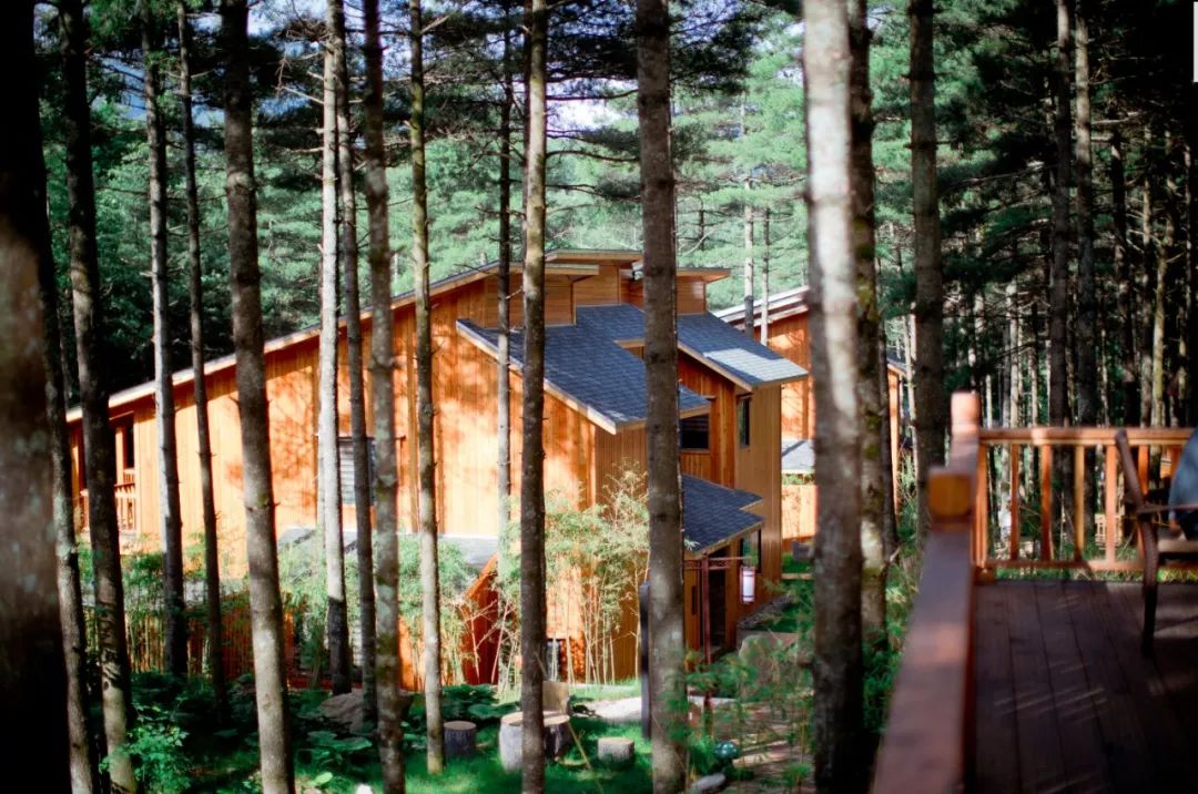 白云山景区民宿一家五口,白云山森林小屋民宿