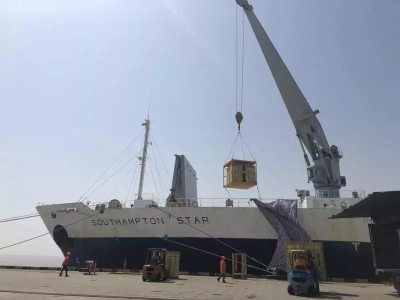 新西兰佳沛金果销售时间,2023年新西兰佳沛金果