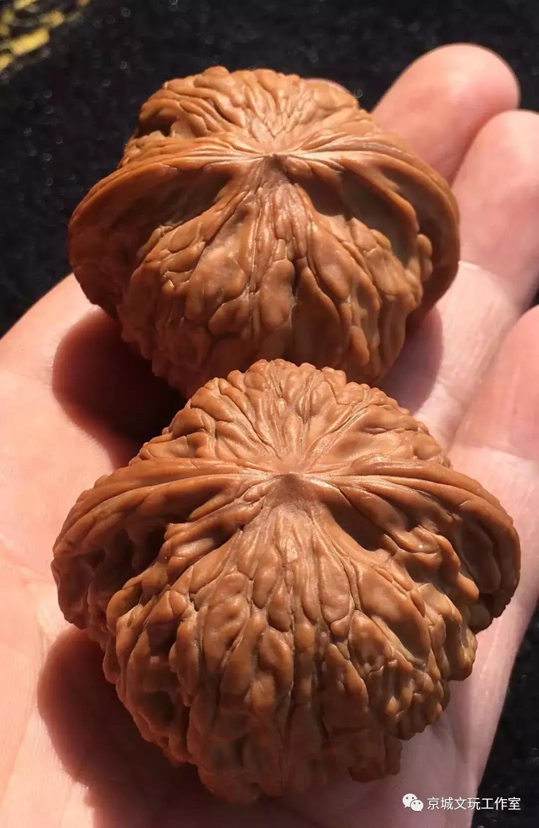 文玩核桃贵贱有何区别,文玩核桃的贵贱