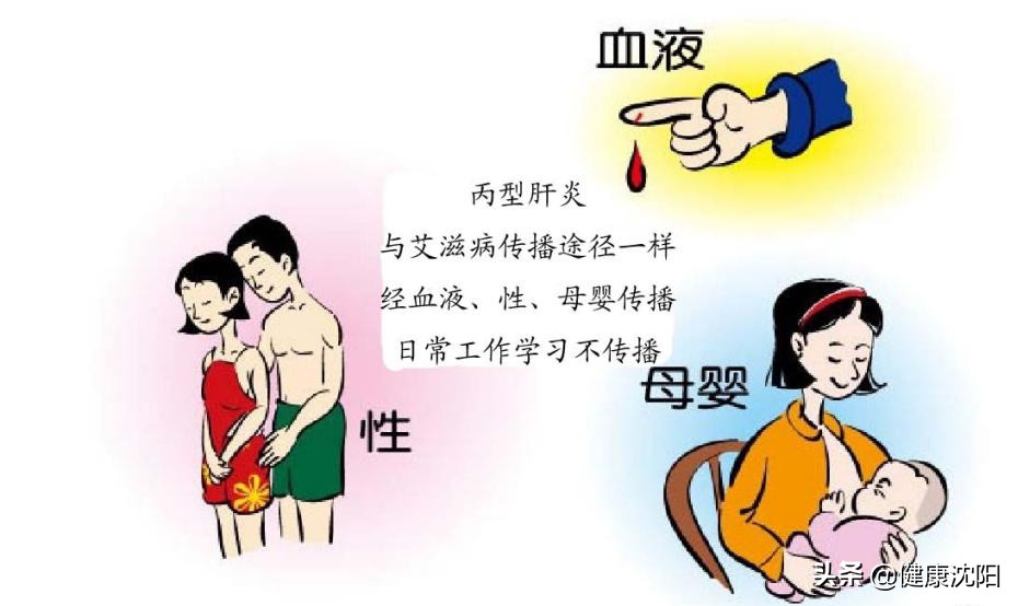 丙肝为什么是沉默杀手,医学知识科普丙肝怎么回事