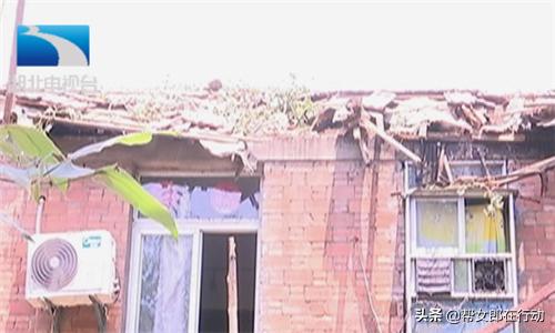 一场狂风掀掉了房顶,一场大风吹倒一棵大树压坏居民房