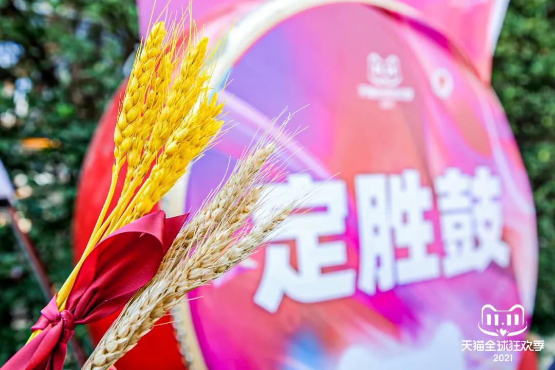 双11力度最大的品牌,双11热销暴利产品有哪些