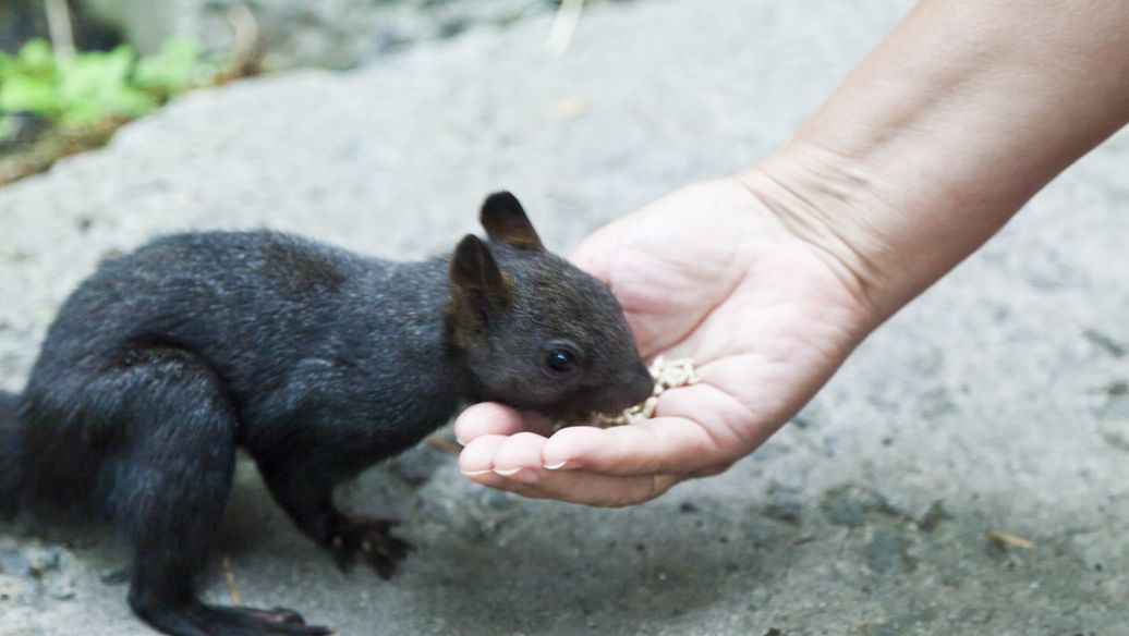 一家三口死于火灾中丈夫异常淡定,1980年一家四口吃了饺子中毒案
