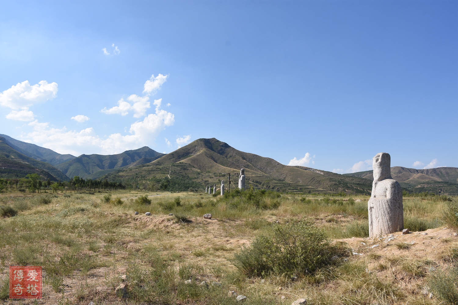 2020年经典电视剧有哪些,2020年将要播出的电视剧有哪些