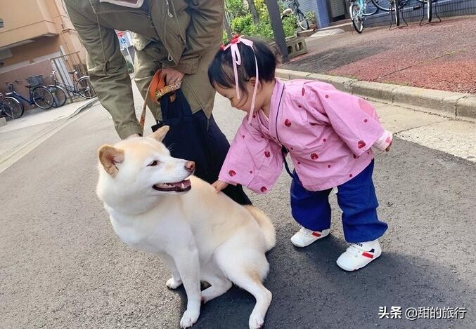 日本东京亲子旅游,东京超干货迪士尼一日游攻略