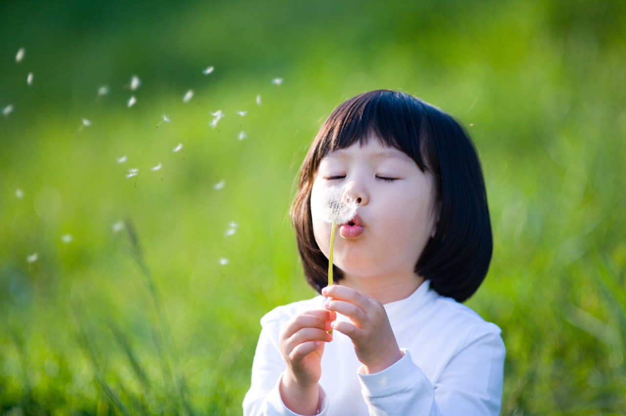港澳院校本科值得读吗,选择香港留学的原因