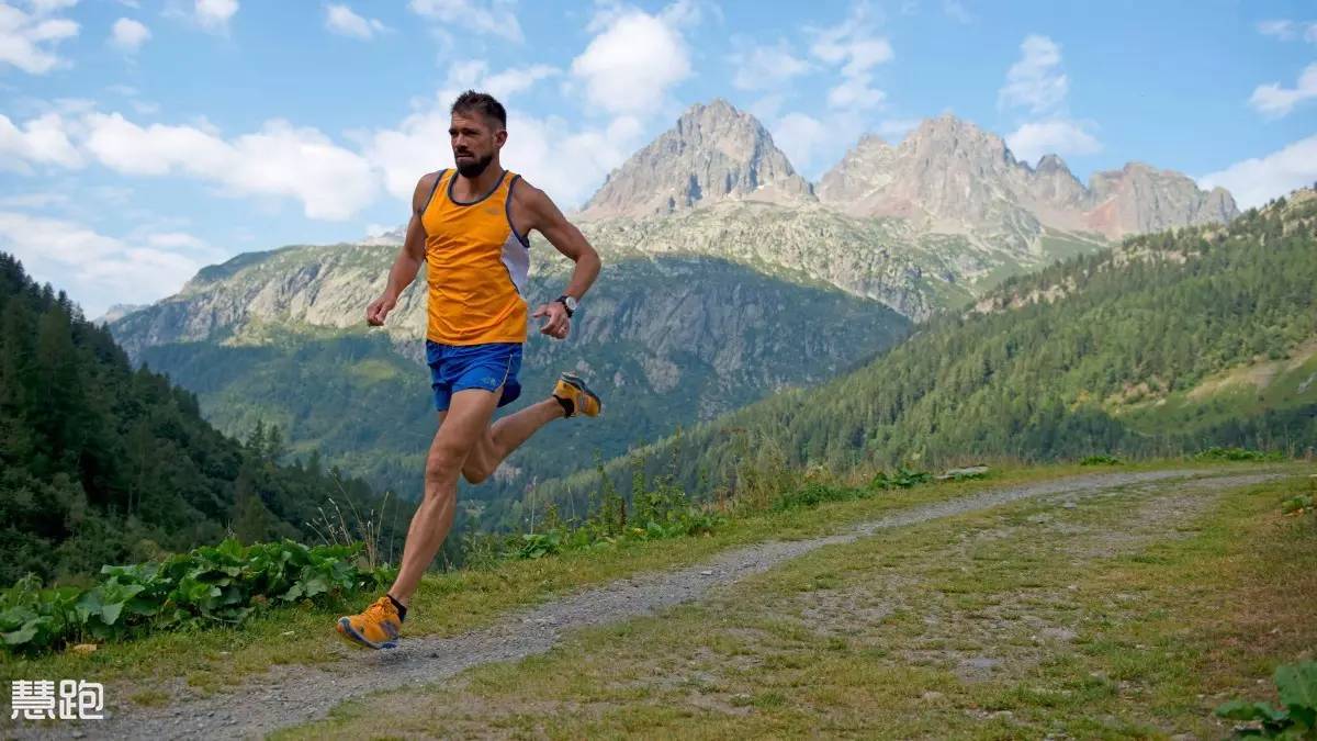 跑步是一种有氧还是一种无氧运动,跑步是最好的无成本的有氧运动