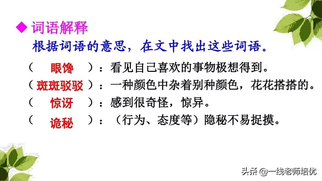 三年级语文带刺的朋友课堂笔记,带刺的朋友三年级上册