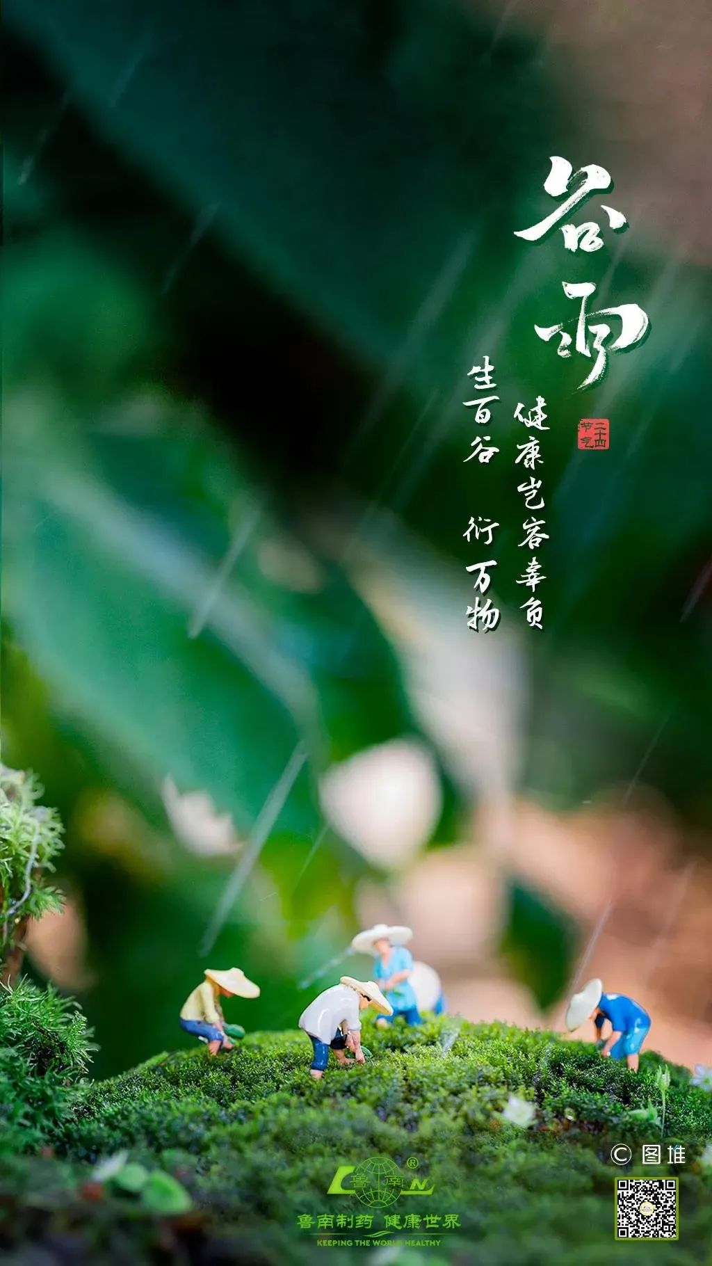 谷雨品牌海报设计,谷雨茶叶海报制作视频教学