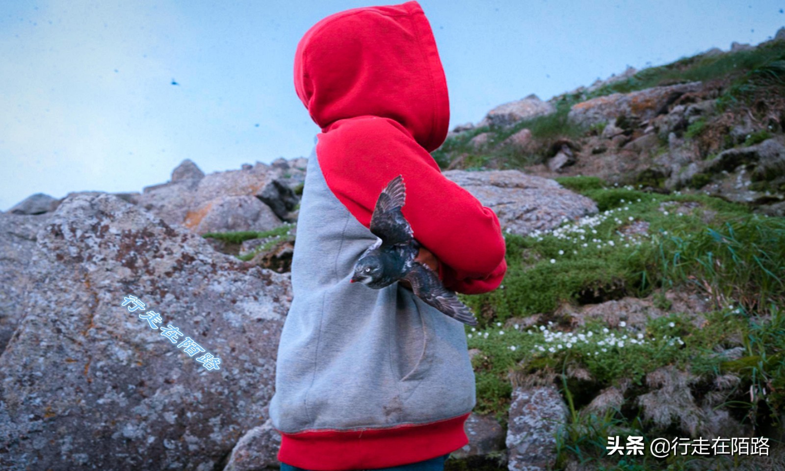 俄乌两国距离多少公里,美俄距离仅4公里