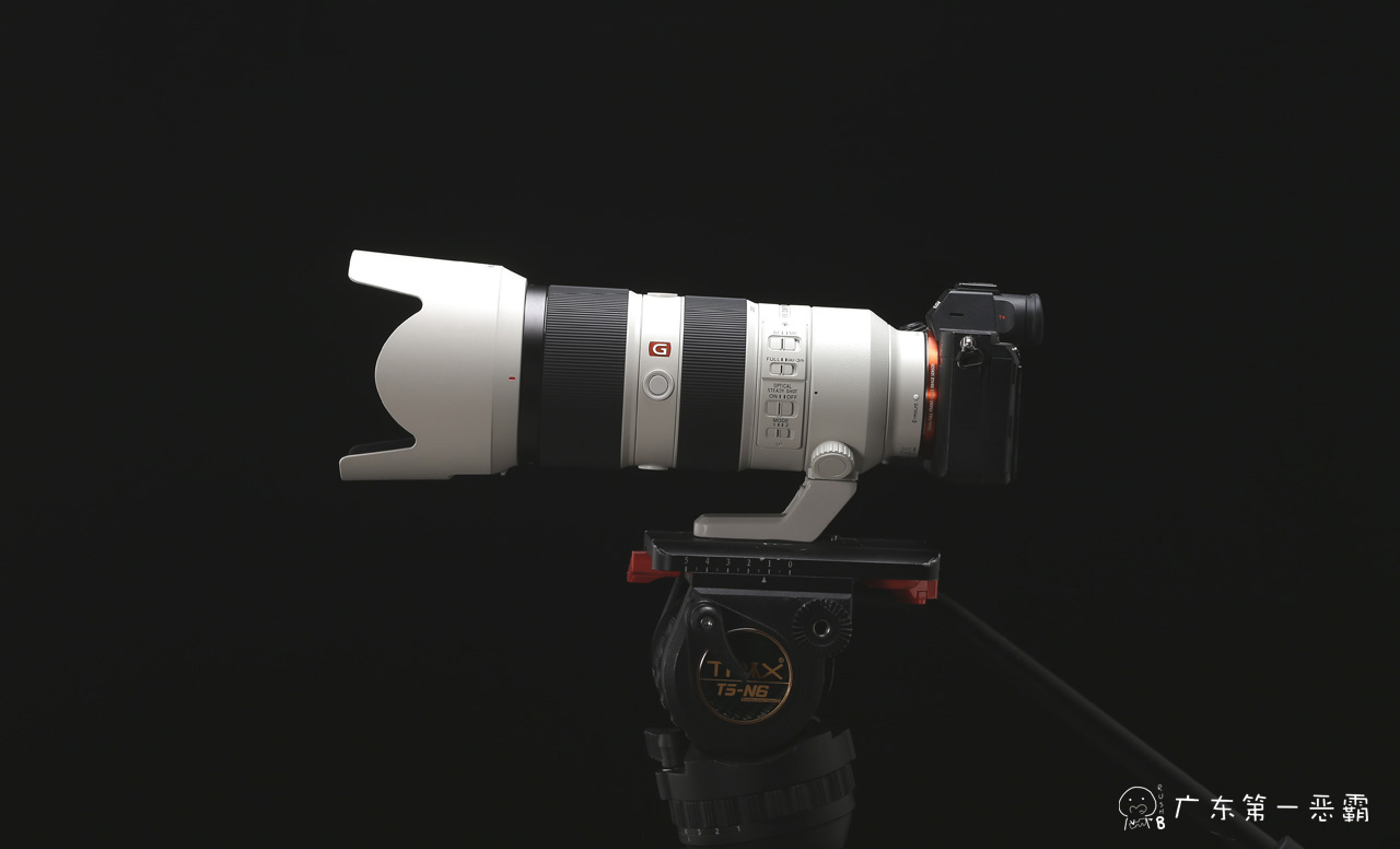 年轻人的第一台蔡司x100,索尼135gm和70-200gm画质哪个好