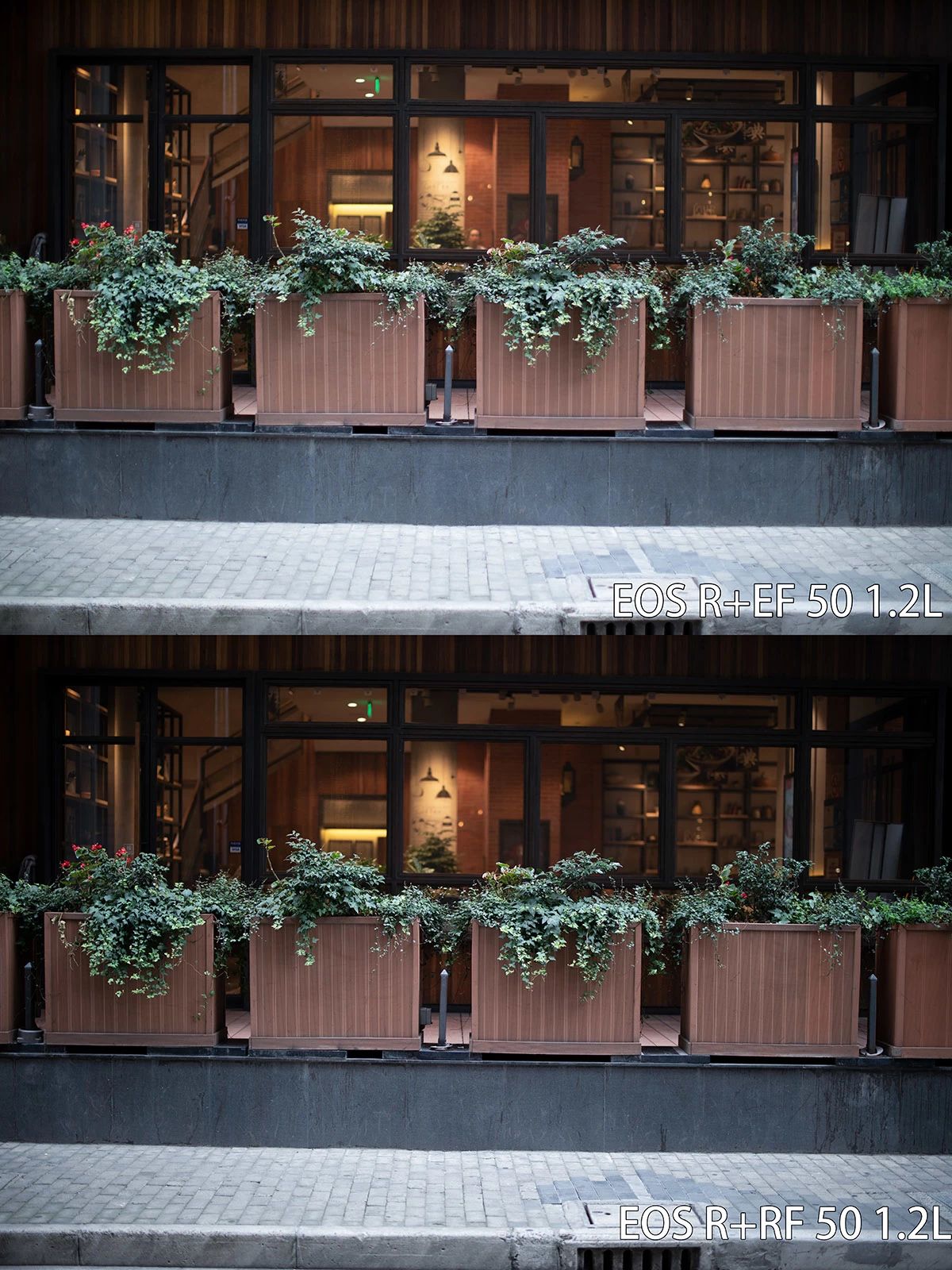 佳能rf24-105f4usm评测,佳能rf50mmf1.2lusm