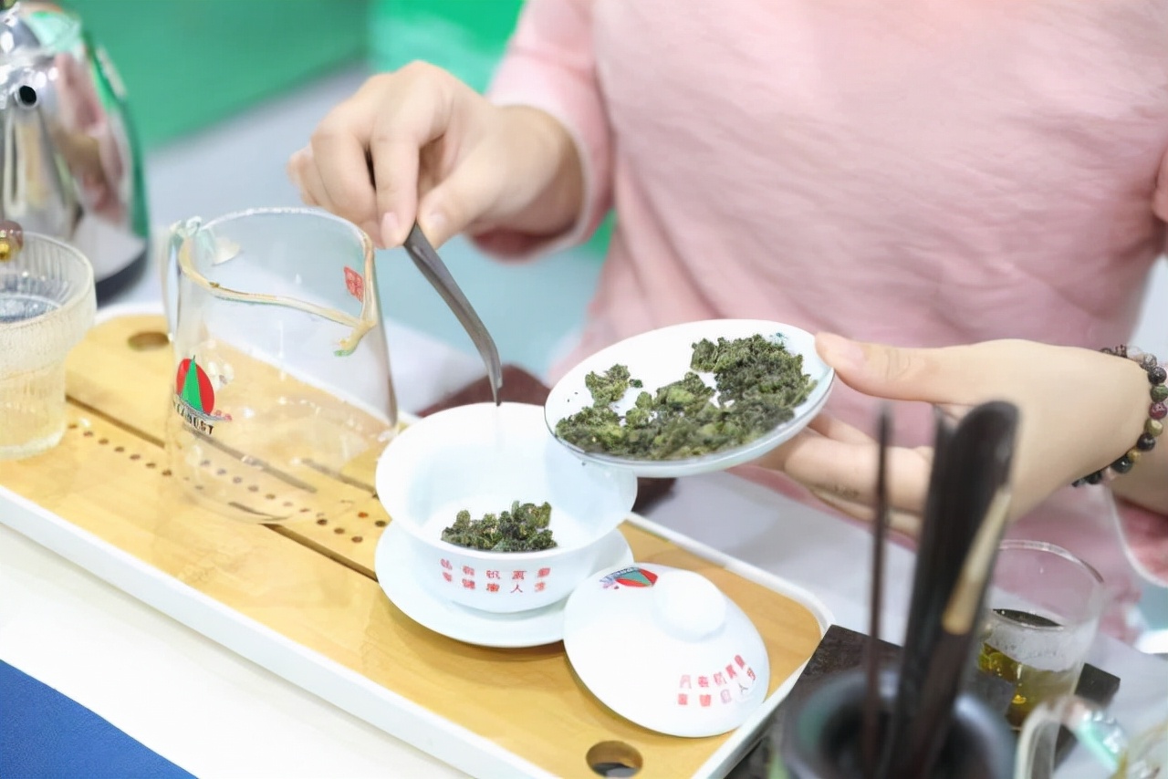 广东茗皇茶,青岛茗皇茶