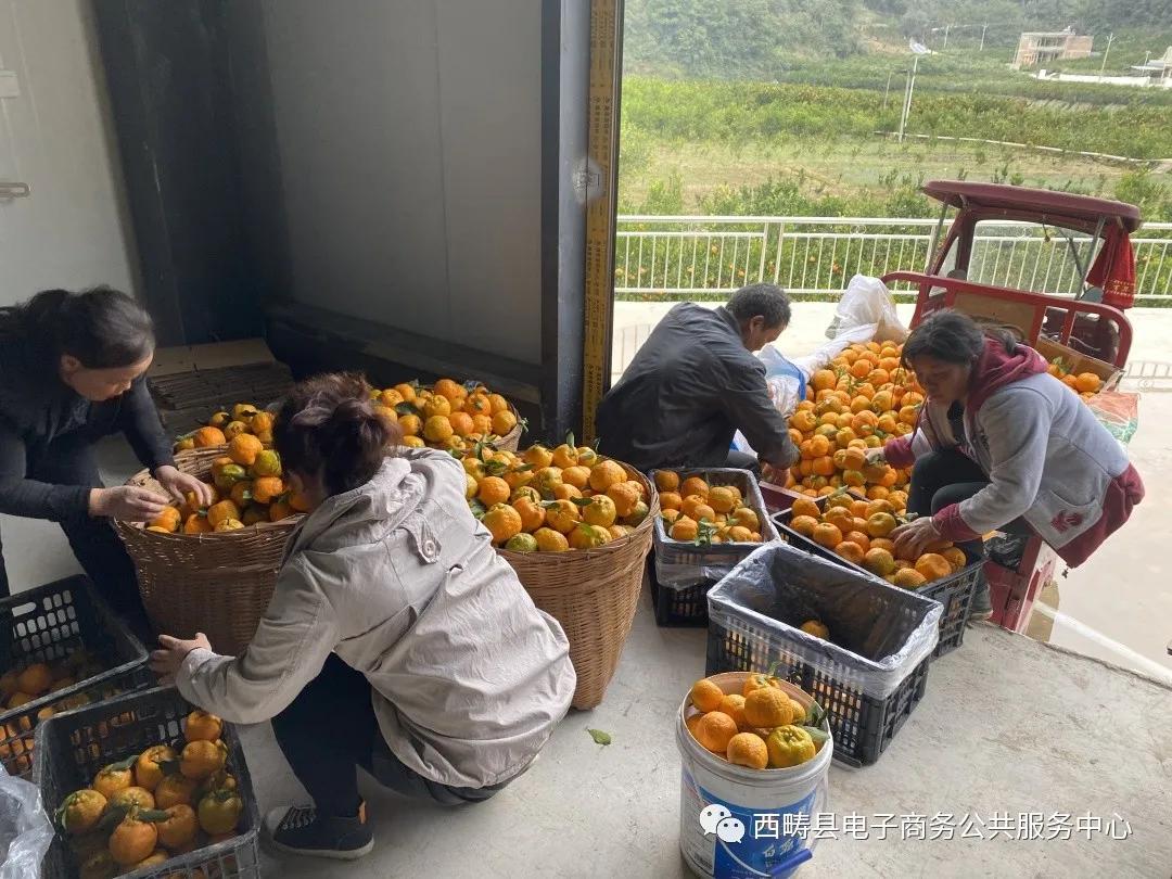 什么叫电商服务中心,带你走进电商直播间
