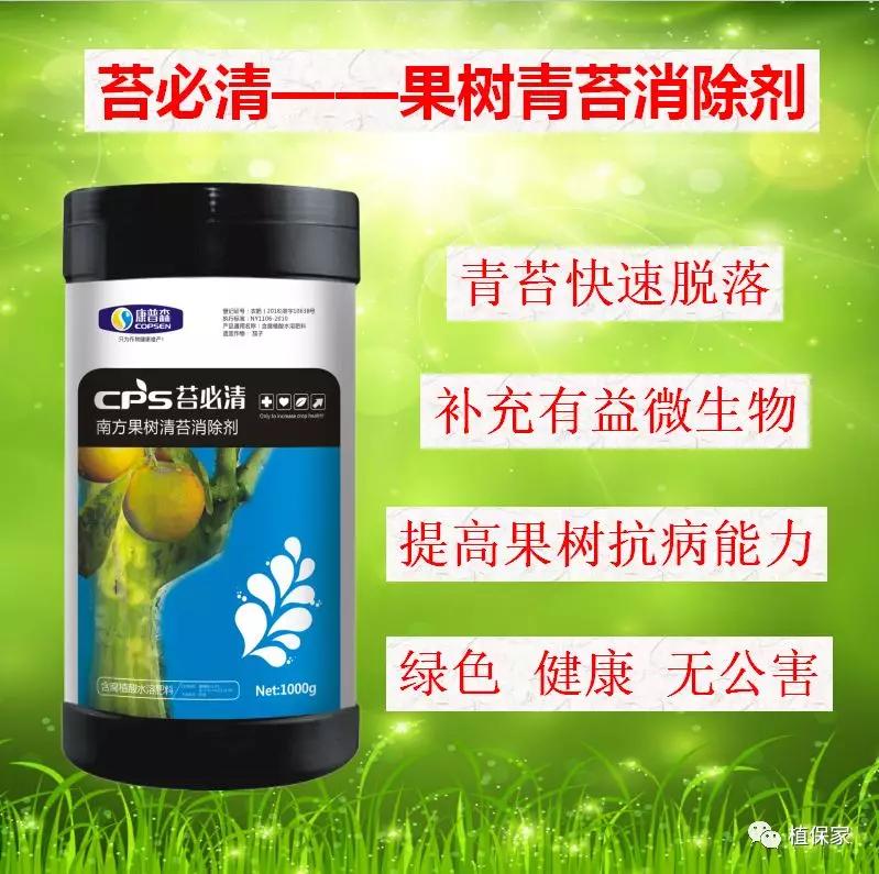 果树青苔可以刷吗,果树青苔最怕什么