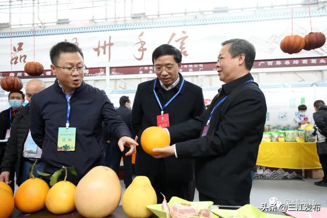 县长变身主播助力农产品销售,县长变身主播推销农特产品