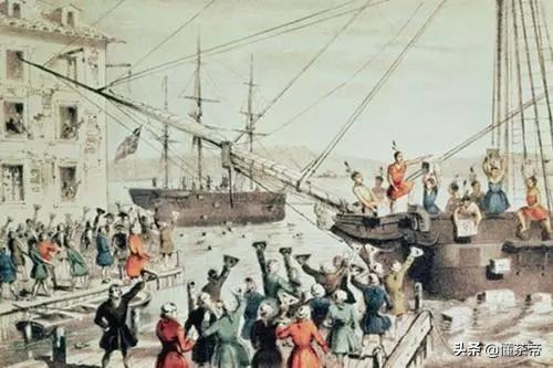 你知道吗茶最早是用来吃的,看完才知道很多茶不能乱喝